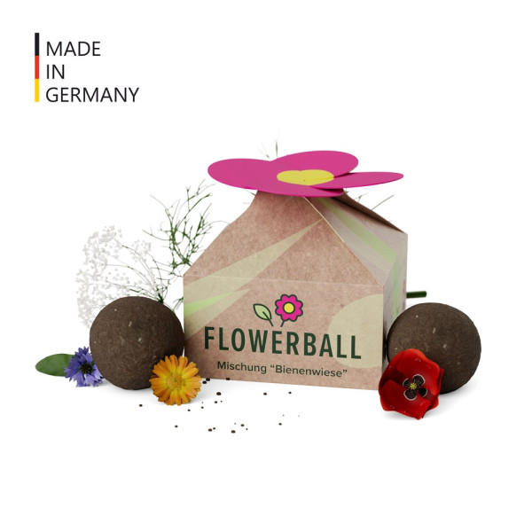 Seedbomb Set - Flower-Ball 